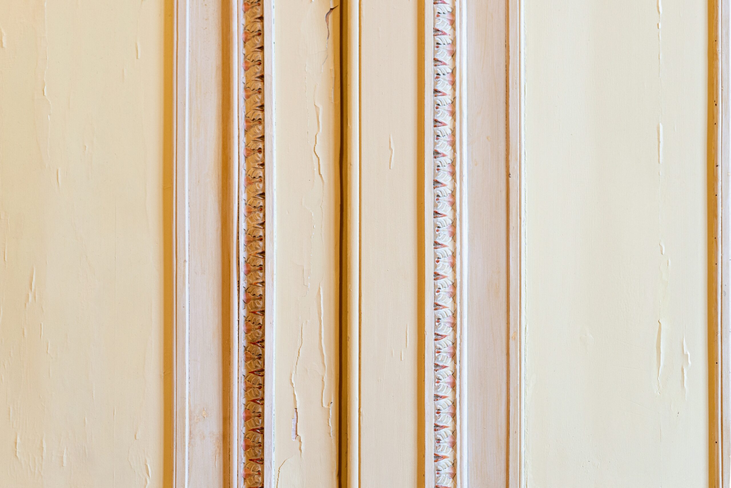 laura-adai-kmIicyUjmCc-unsplash-scaled.jpg